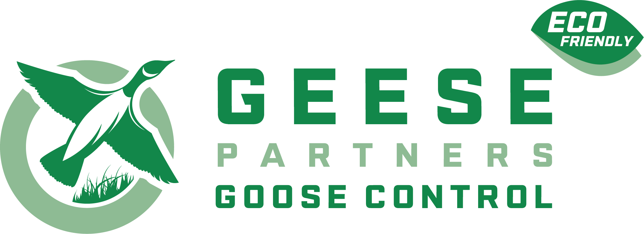 Geese Partners