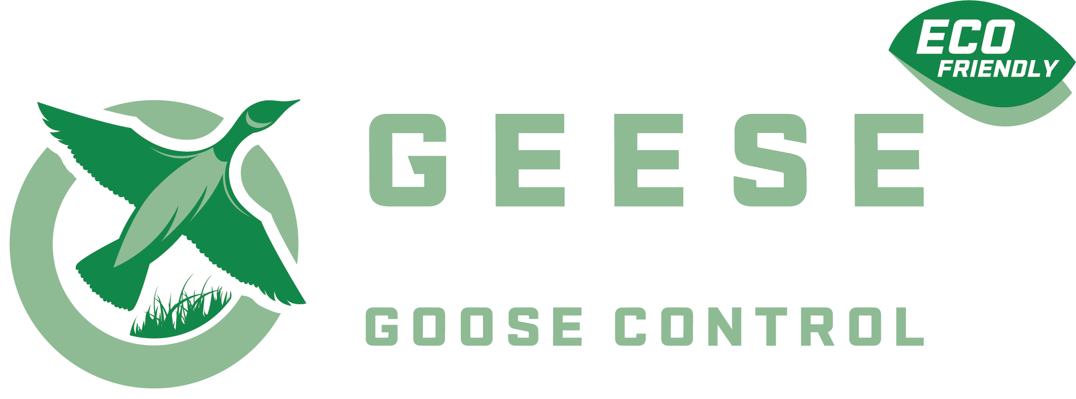 Geese Partners