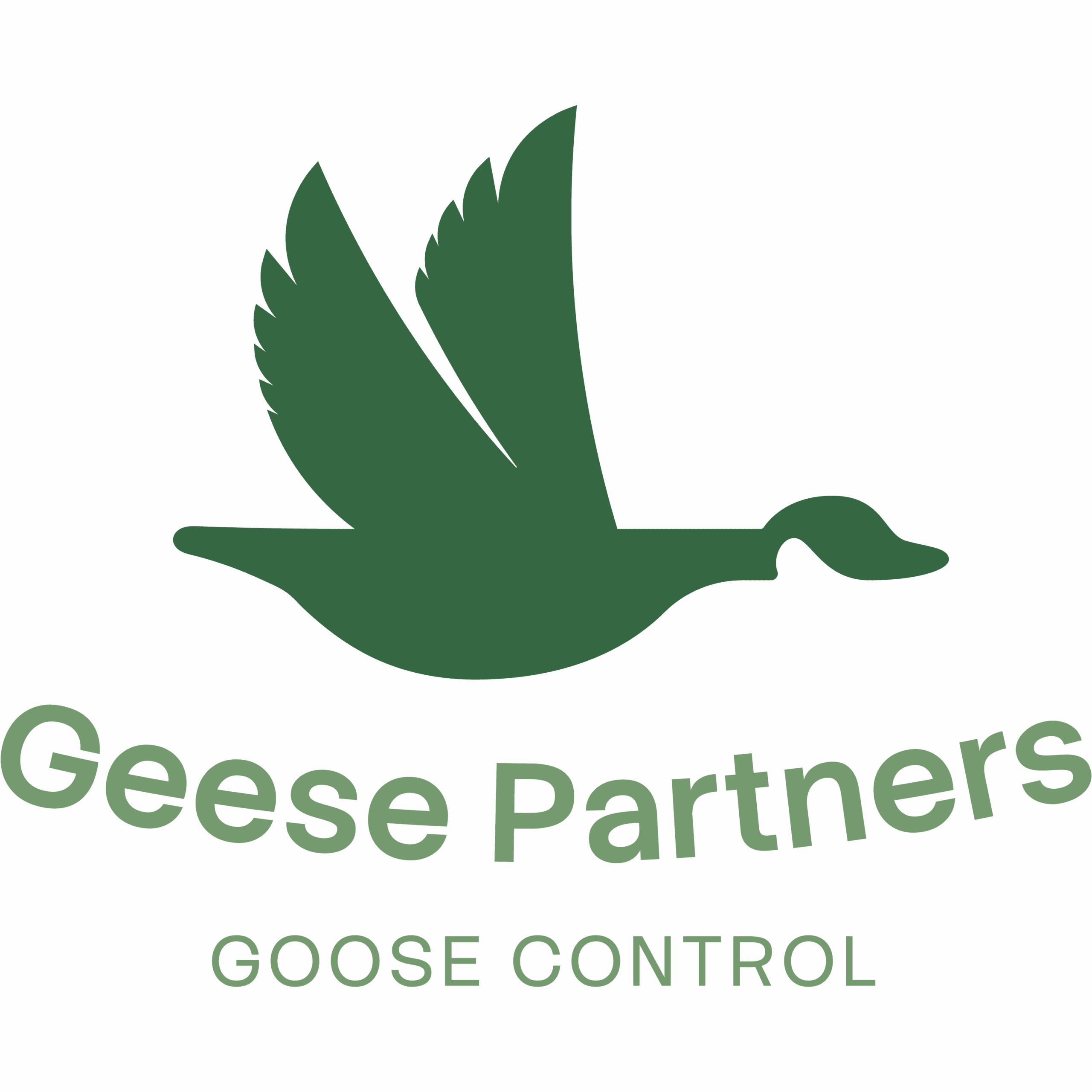 Geese Partners