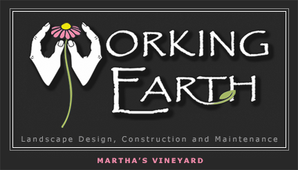 Working Earth LOGO